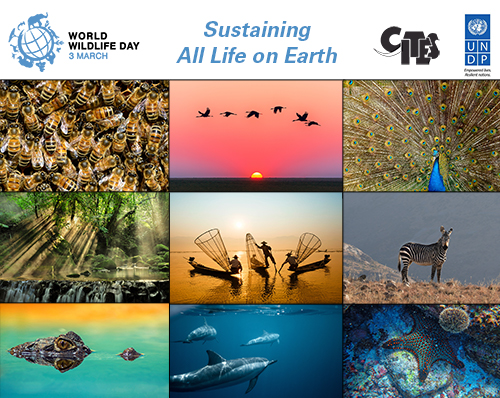 Algunos tips para entender mejor el Día Mundial de la Naturaleza