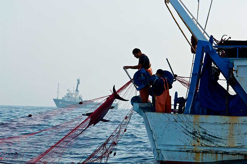 Crece el impulso global para acabar con la pesca ilegal