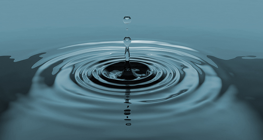 Grupo Modelo invierte para disponibilidad y calidad del agua • Teorema  Ambiental